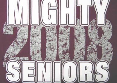 Mighty Seniors 2008