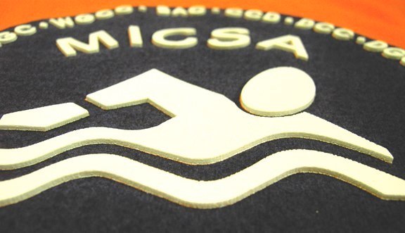 MICSA Swimming Graphic